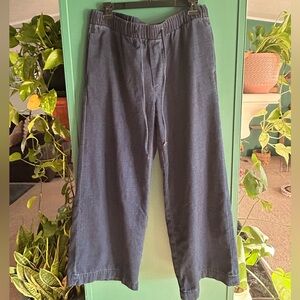 American Eagle Outfitters Women’s Soft Denim Drawstring Wide Leg Pants Stretchy